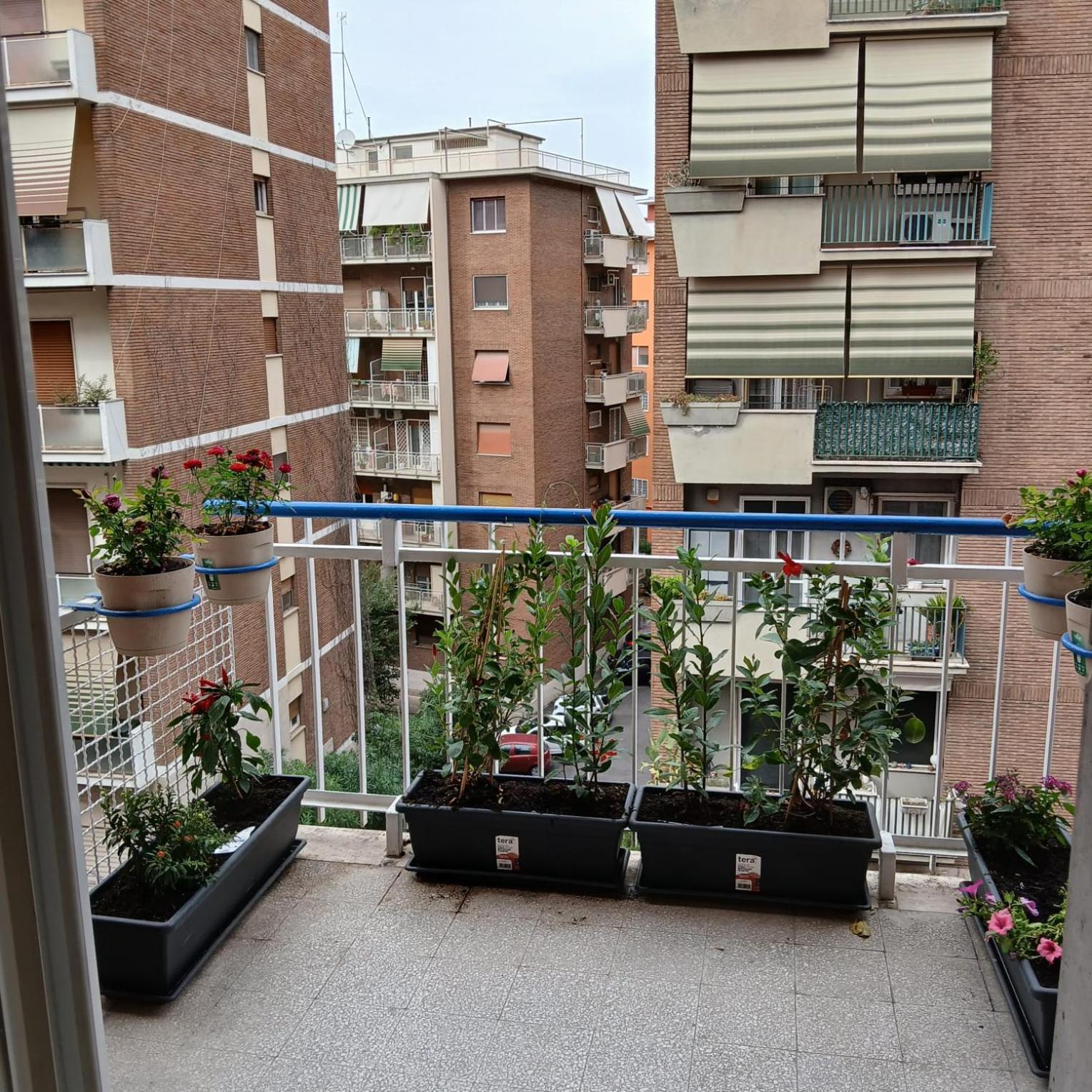 Apartamento Grand Nomentana Roma Exterior foto